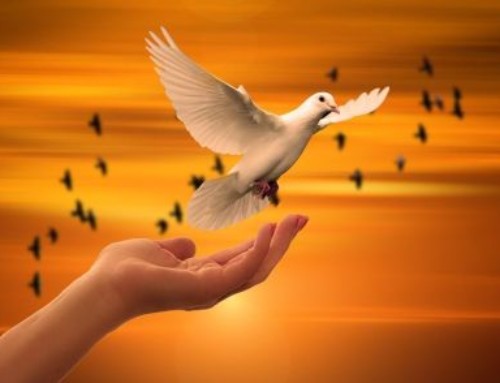 Suore NSA: In cammino verso la Pace