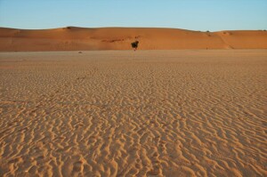 polvere sabbia niger