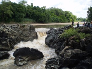 camerun