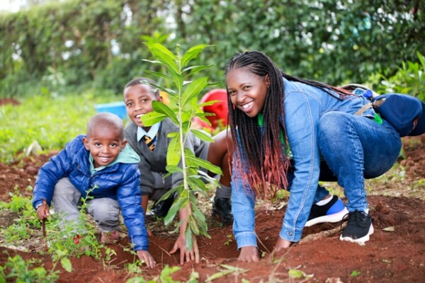 Africa alberi riforestazione