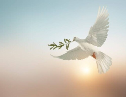 I nostri auguri per una Pasqua di umanità e di pace!