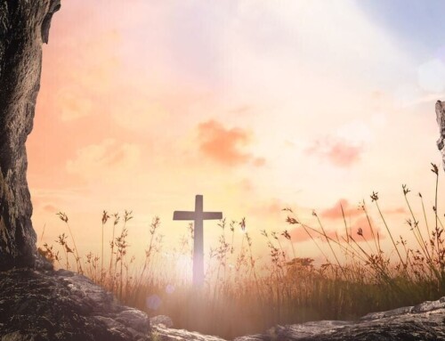 Un augurio di Pasqua dai missionari SMA