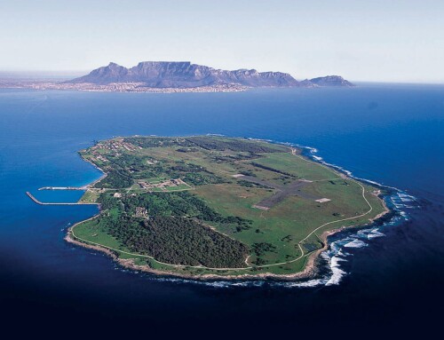 Sudafrica, tra natura e città lungo la Garden Route