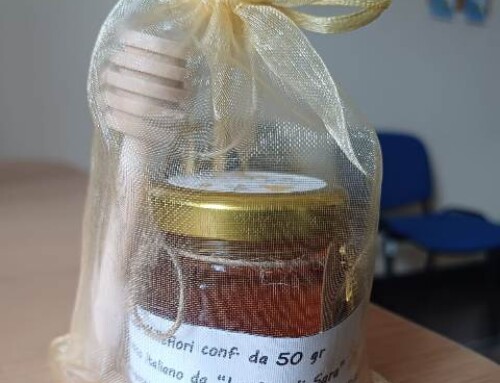 Le api di Sara alla SMA: continua la cura del creato