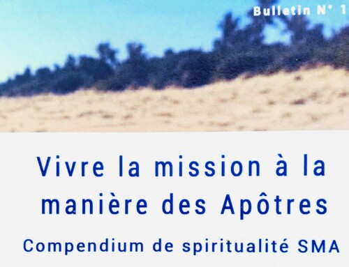 La spiritualità SMA oggi