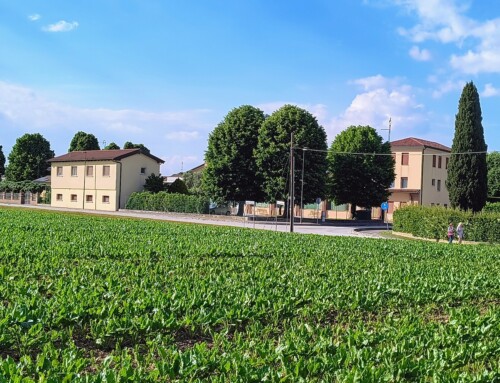 L’attualità viva e gioiosa della comunità SMA-NSA di Feriole
