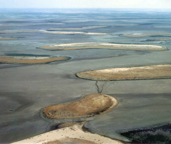 Photograhie aérienne représentative du Lac Tchad, (partie est, succession de dunes partiellement ennoyées). La baisse de niveau du lac se manifeste par l'emersion des sommets de dunes pécédemment immergés puis, comme ici, par l'assechement complet de cette cuvette.